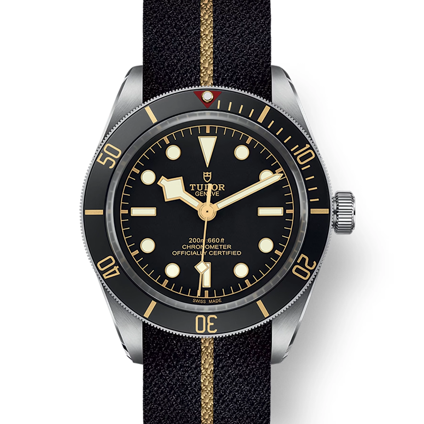 Tudor Black Bay